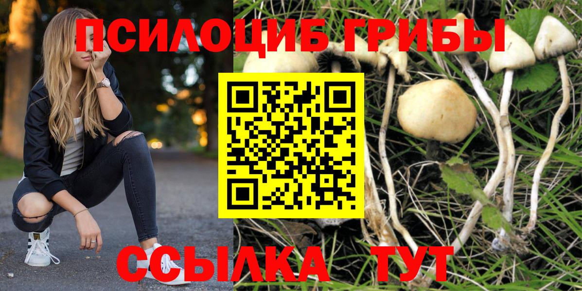 Галлюциногенные грибы Psilocybe Назрань