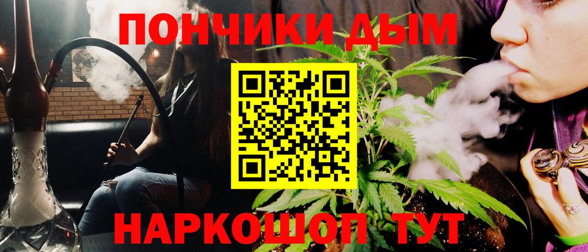 Каннабис сатива  Каннабис OG Kush  Назрань  Каннабис VHQ  Вход с VPN 